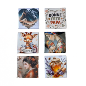 Lot de 6 magnets classiques au choix